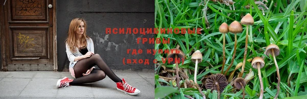 спайс Абинск